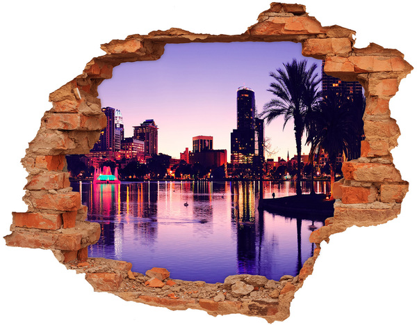 Fototapeta dziura na ścianę 3d Orlando USA