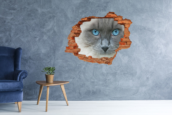 Dziura 3d fototapeta na ścianę Kot niebieskie oczy