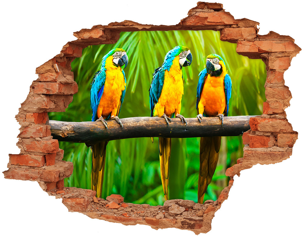 Dziura 3d fototapeta na ścianę Papugi na gałęzi