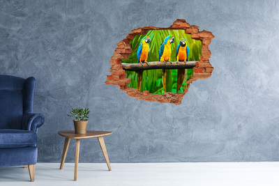Dziura 3d fototapeta na ścianę Papugi na gałęzi