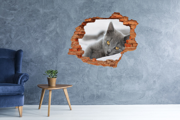 Dziura 3d fototapeta naklejka Szary kot