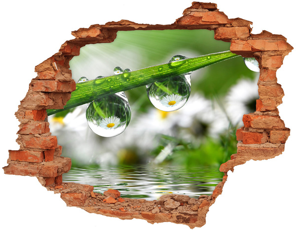 Samoprzylepna dziura naklejka Kwiatowa oaza z kroplami wody