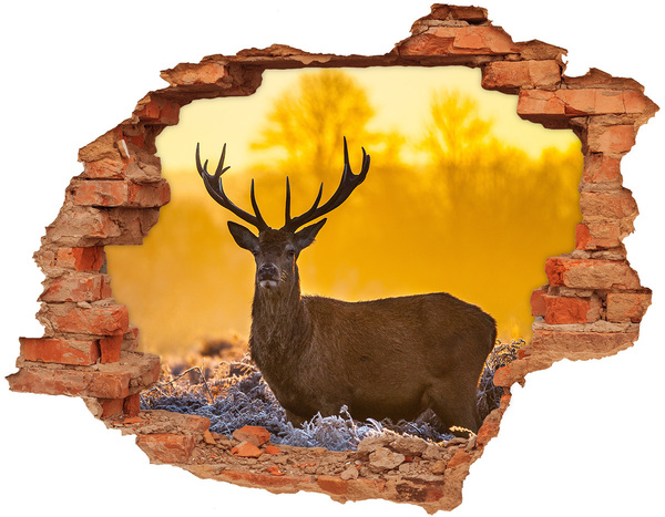 Dziura 3d fototapeta na ścianę Jeleń wschód słońca