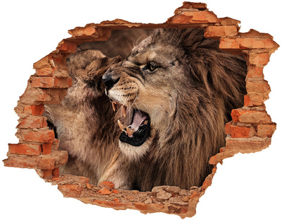 Dziura 3d fototapeta na ścianę Ryczące lwy