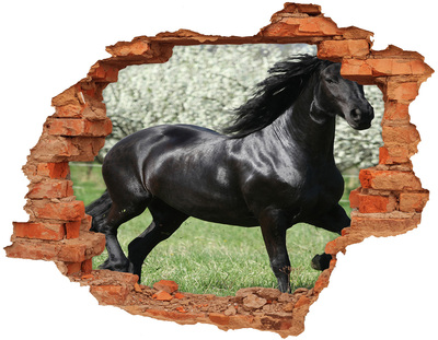 Dziura 3d fototapeta na ścianę Czarny koń kwiaty