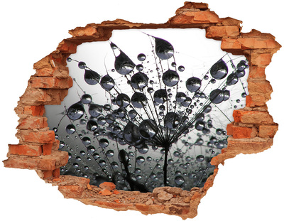 Samoprzylepna dziura naklejka Krople wody na dmuchawcu