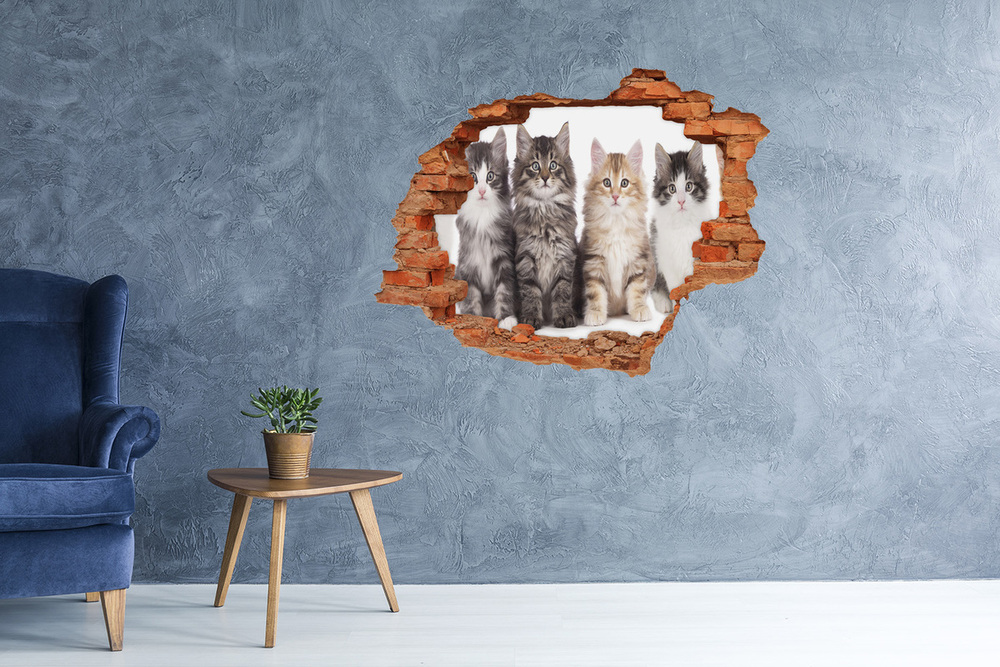 Dziura 3d fototapeta naklejka Sześć kotów