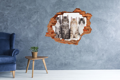 Dziura 3d fototapeta naklejka Sześć kotów