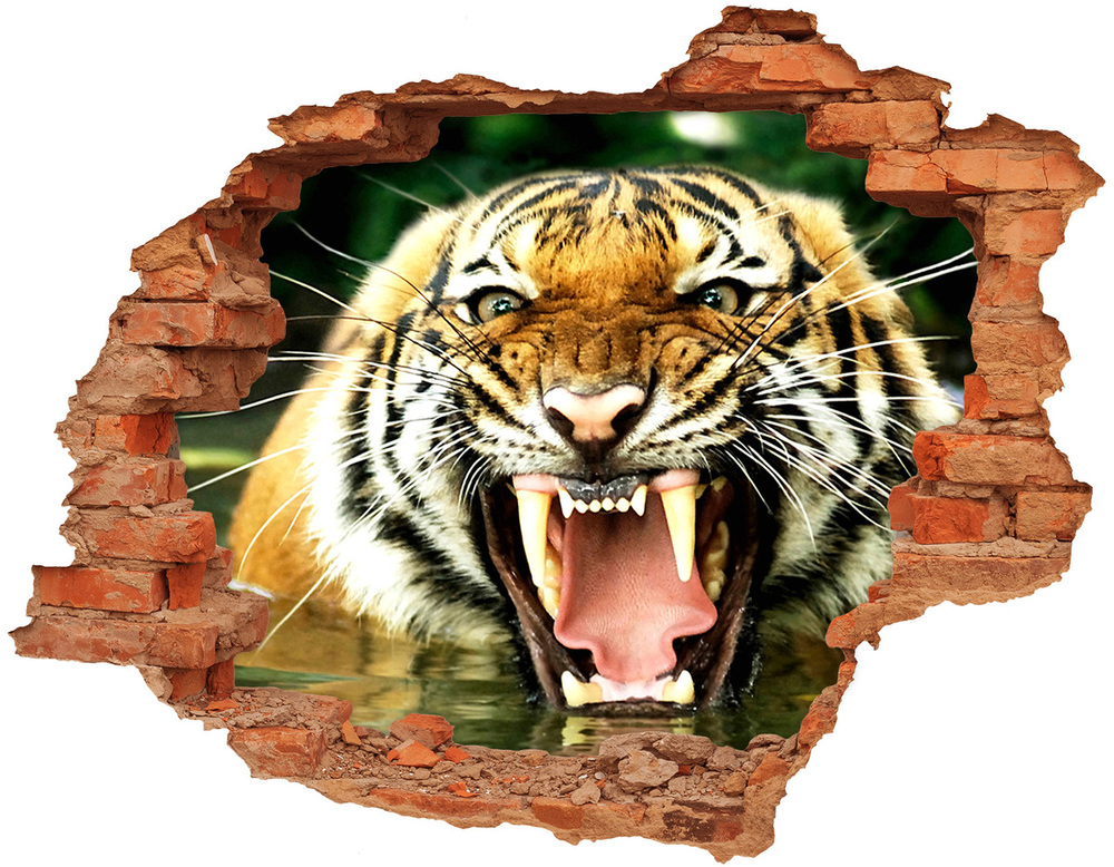 Dziura 3d fototapeta naklejka Ryczący tygrys