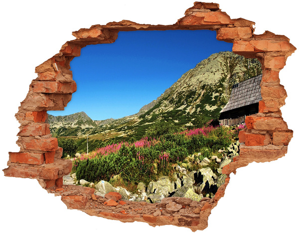 naklejka fototapeta 3D Bacówka w dolinie