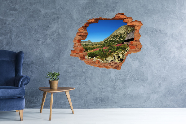naklejka fototapeta 3D Bacówka w dolinie