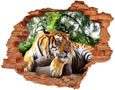 Dziura 3d fototapeta na ścianę Tygrys na skale