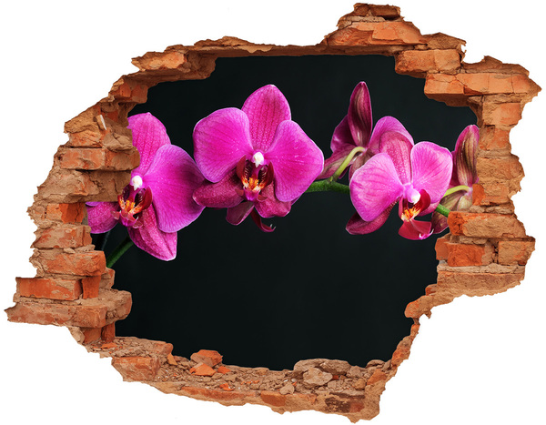 Samoprzylepna dziura naklejka Orchidea