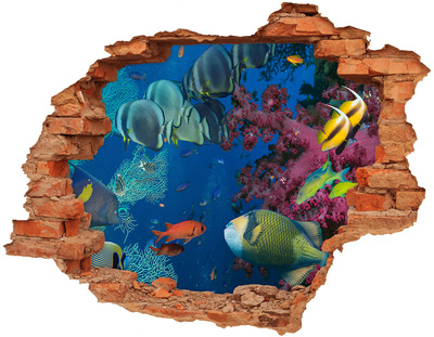 Dziura 3d fototapeta na ścianę Rafa koralowa