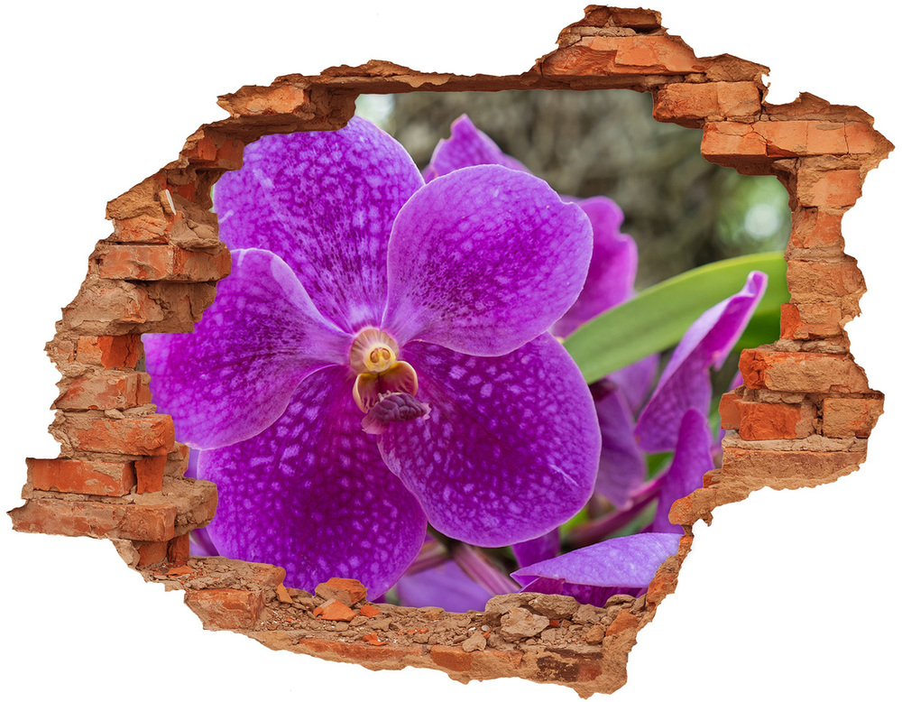 Samoprzylepna dziura naklejka Orchidea
