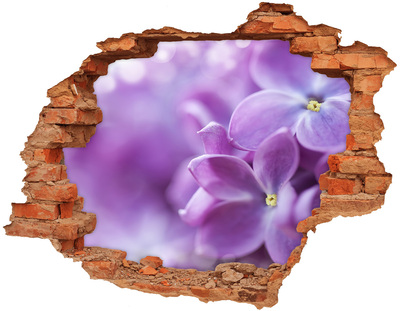Samoprzylepna dziura na ścianę Kwiaty bzu