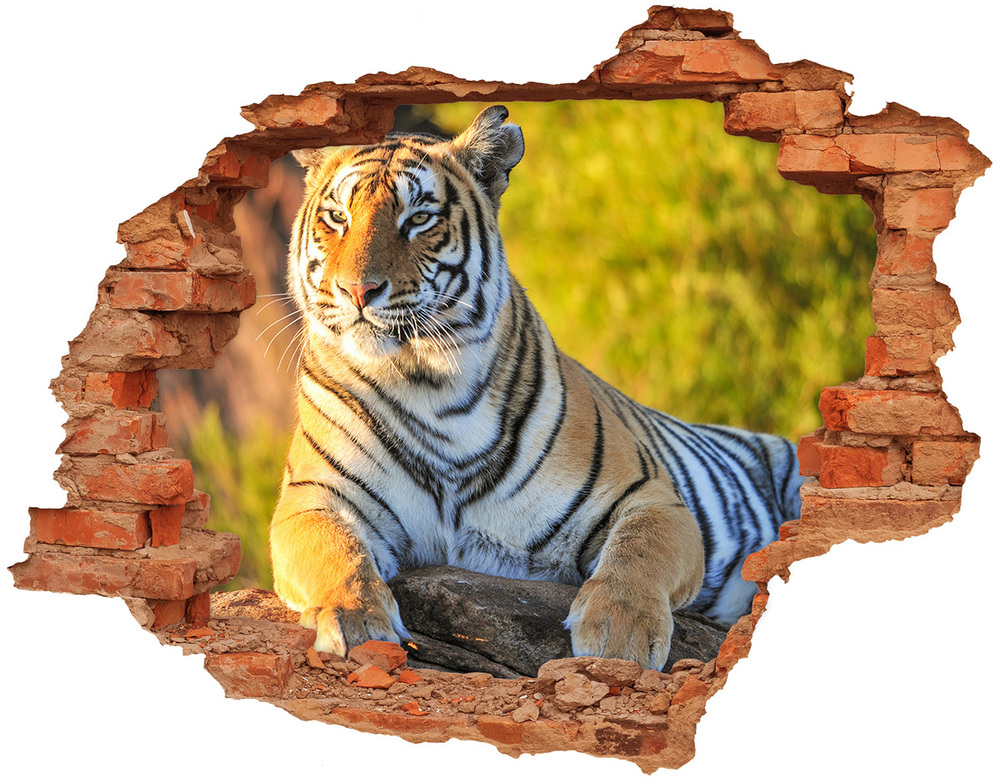 Dziura 3d fototapeta naklejka Portret tygrysa