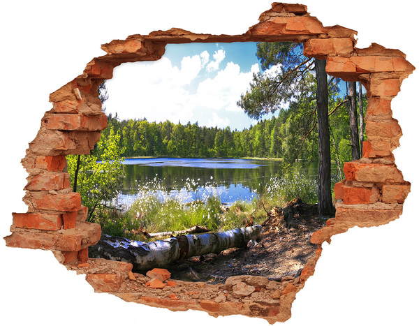 naklejka fototapeta 3D na ścianę Leśna panorama