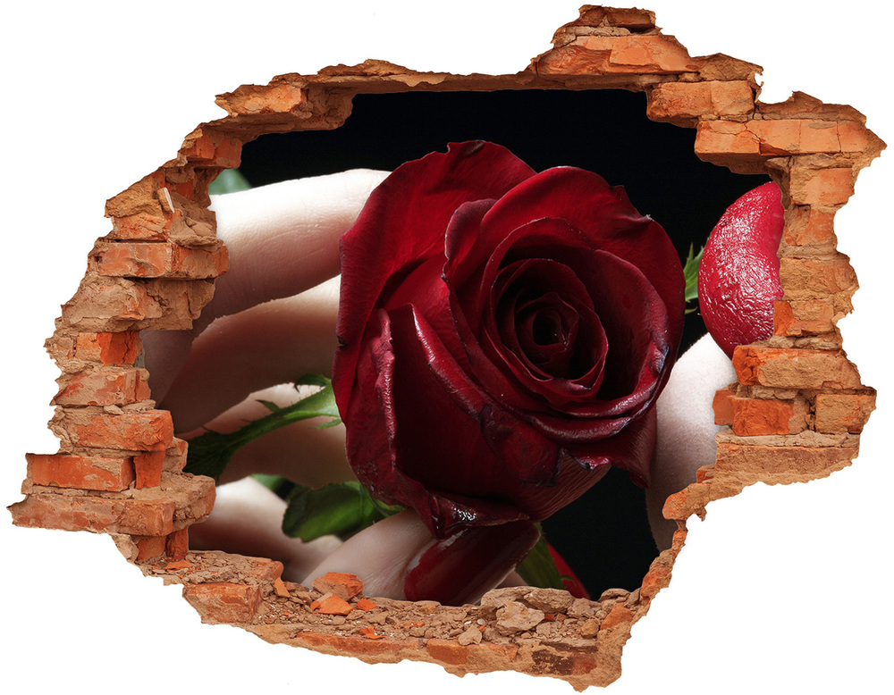 Fotoobraz dziura na ścianę Kobieta z różą