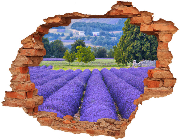 naklejka fototapeta 3D widok Lawendowe pola w Provence
