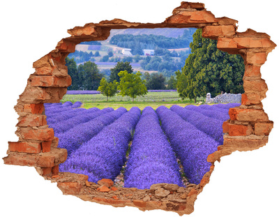 naklejka fototapeta 3D widok Lawendowe pola w Provence