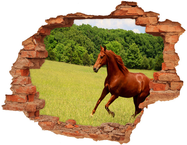 Dziura 3d fototapeta na ścianę Galloping Horse in a Scenic Meadow