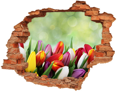 Samoprzylepna dziura na ścianę Kolorowe tulipany