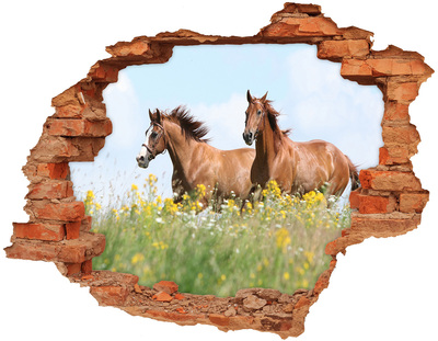 Dziura 3d fototapeta Dwa konie w galopie