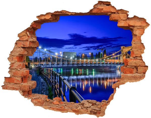 Fototapeta dziura na ścianę 3d Wrocław nocą