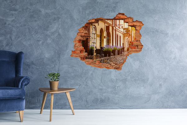 Fototapeta dziura na ścianę 3d Urokliwy kącik z lawendą