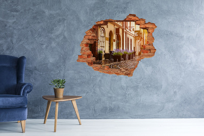 Fototapeta dziura na ścianę 3d Urokliwy kącik z lawendą