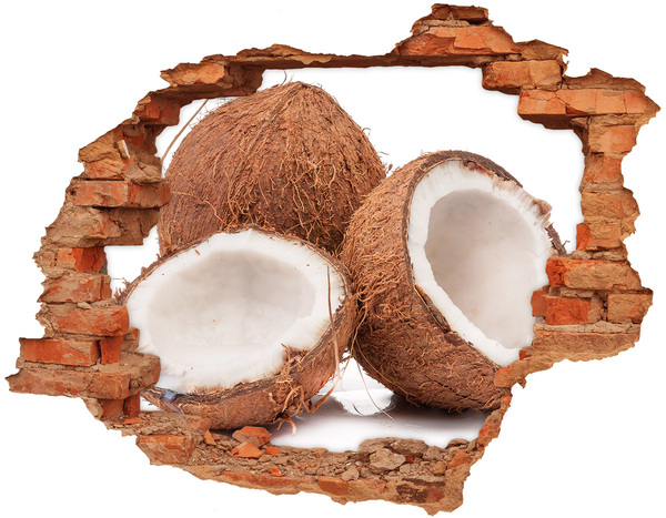 Naklejka 3D dziura na ścianę Kokosowe skarby