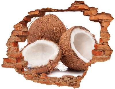 Naklejka 3D dziura na ścianę Kokosowe skarby