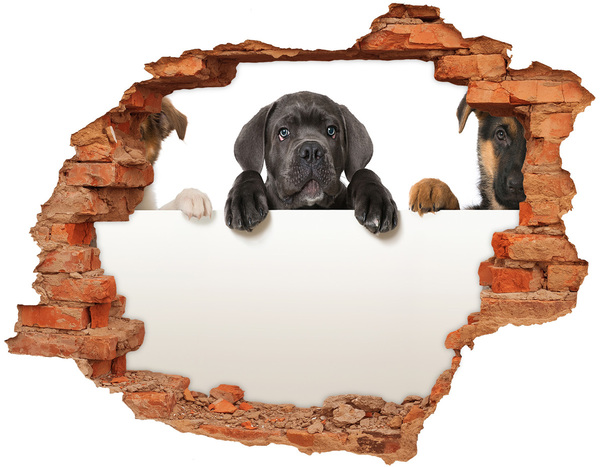 Dziura 3d fototapeta naklejka Trzy szczeniaki