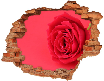 Dziura 3d fototapeta na ścianę Czerwona róża