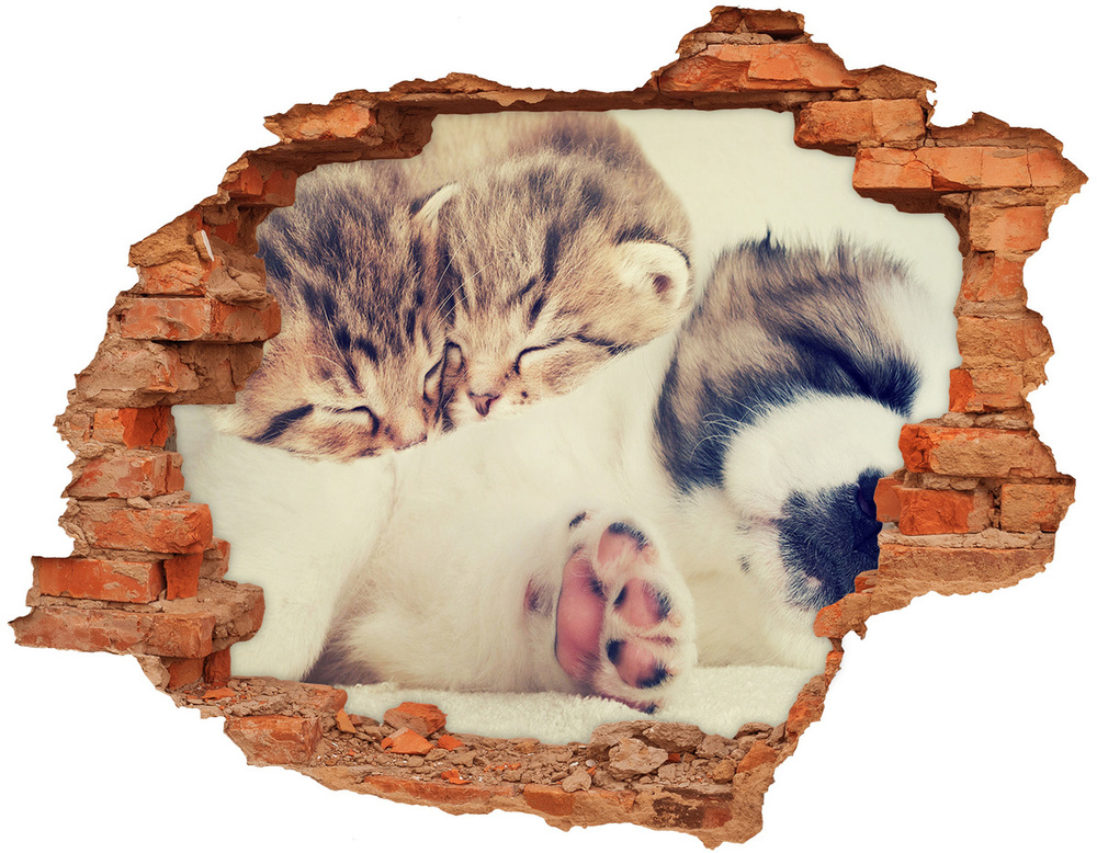 Dziura 3d fototapeta na ścianę Dwa koty i pies