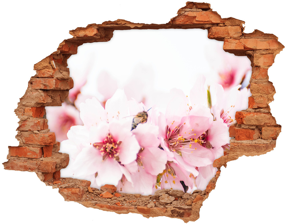 Samoprzylepna dziura na ścianę Kwiaty wiśni