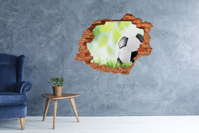 Foto zdjęcie dziura na ścianę Piłka nożna