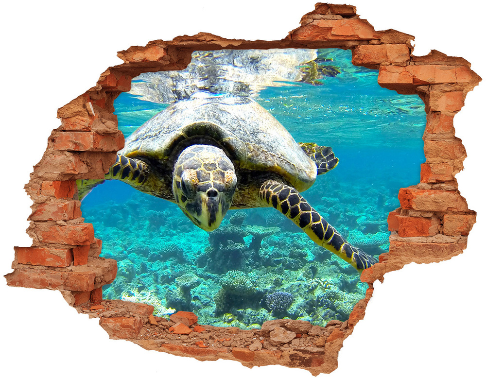 Dziura 3d fototapeta naklejka Żółw morski