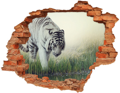 Dziura 3d fototapeta naklejka Biały tygrys