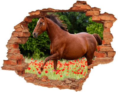 Dziura 3d fototapeta naklejka Koń na polu maków