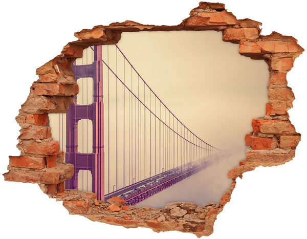 Fototapeta dziura na ścianę 3d Most San Francisco