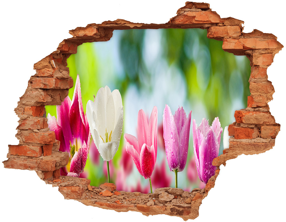 Fototapeta dziura na ścianę Tulipany