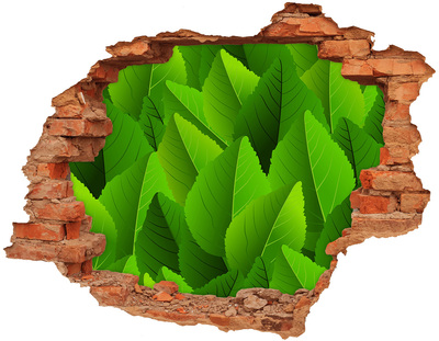Fototapeta dziura na ścianę Zielone liście