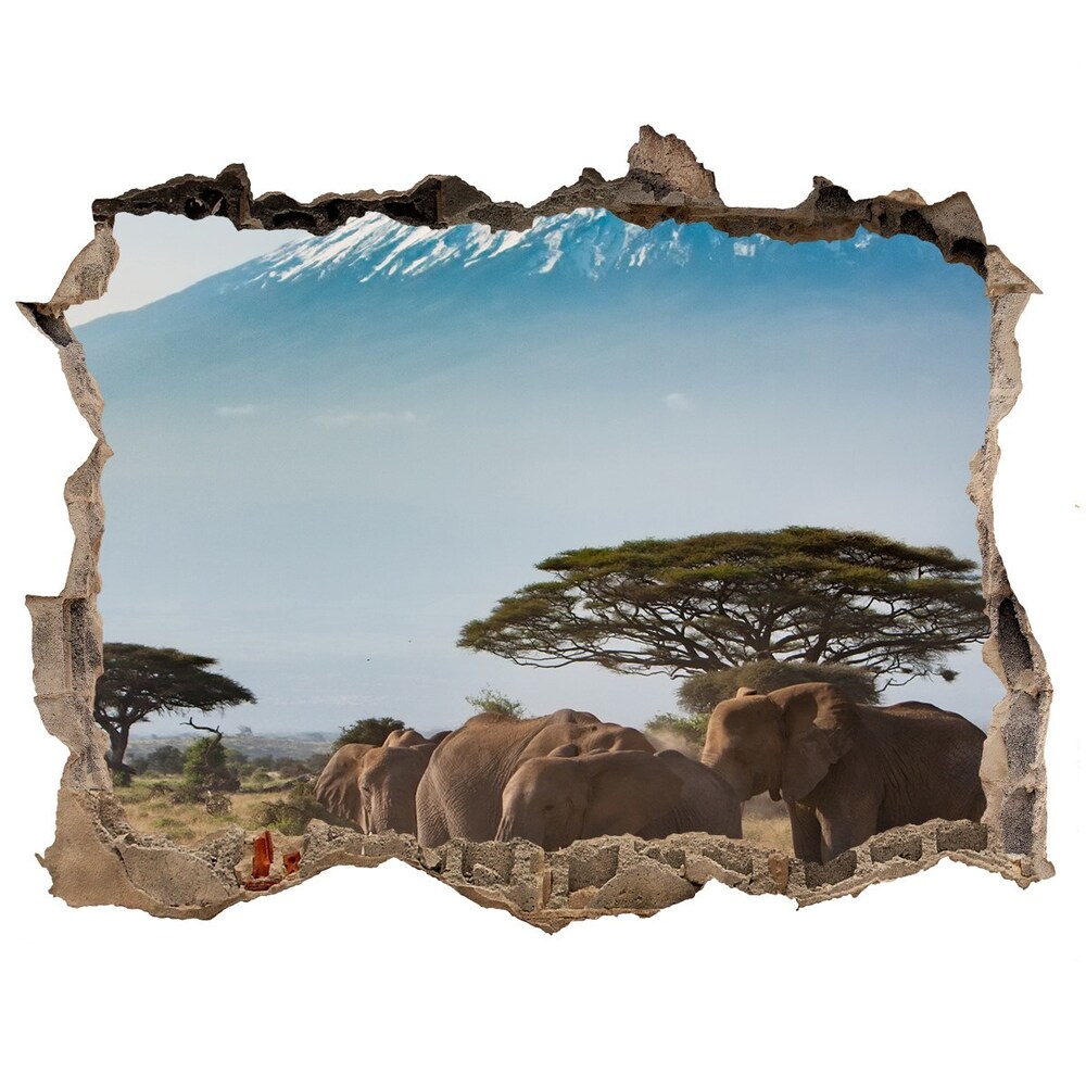 Dziura 3d fototapeta Słonie Kilimandżaro