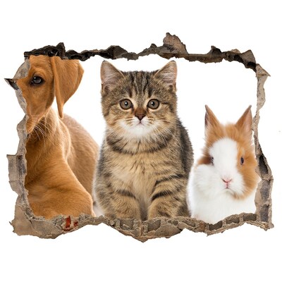 Dziura 3d fototapeta na ścianę Przyjaciele na zawsze