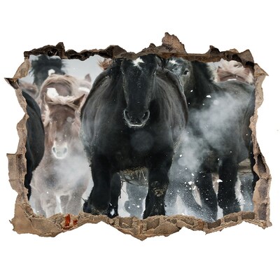 Fototapeta dziura na ścianę Galopujące konie przez ścianę