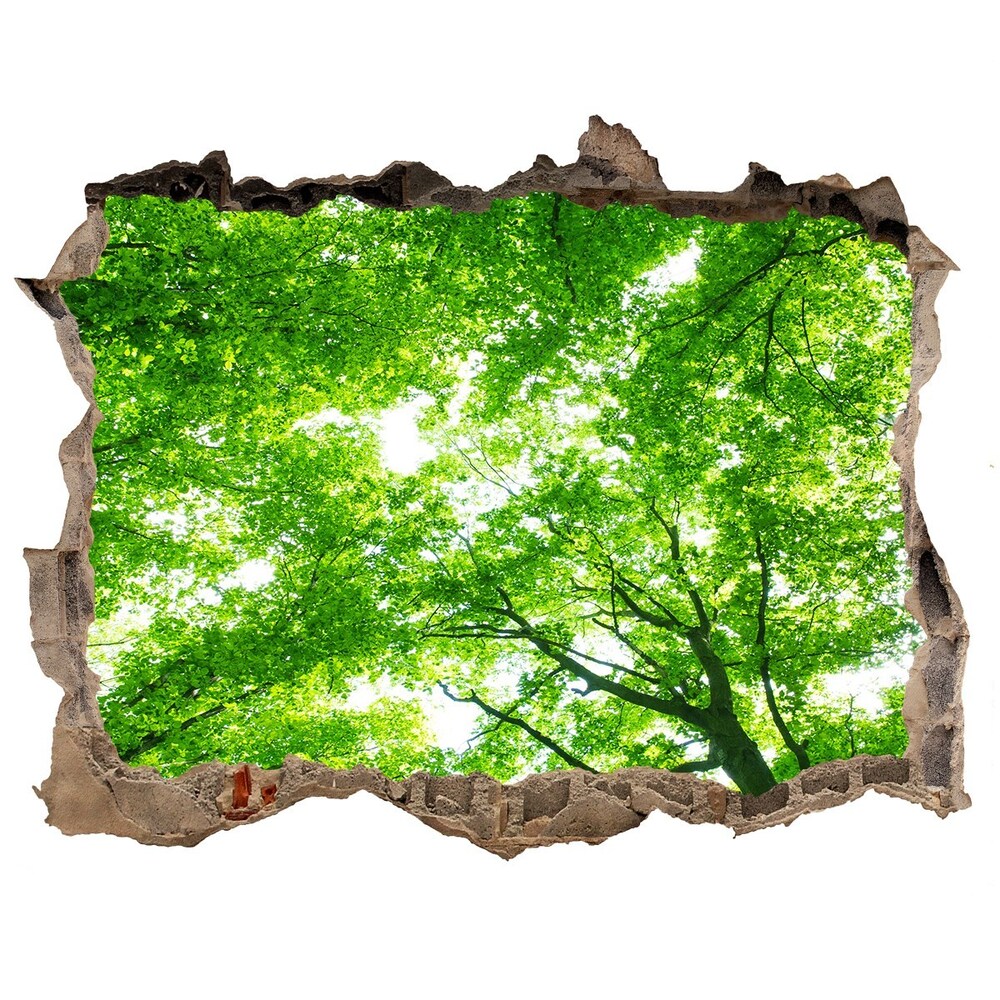 Samoprzylepna naklejka fototapeta Zielony las