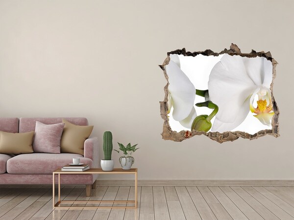 Samoprzylepna naklejka fototapeta Orchidea