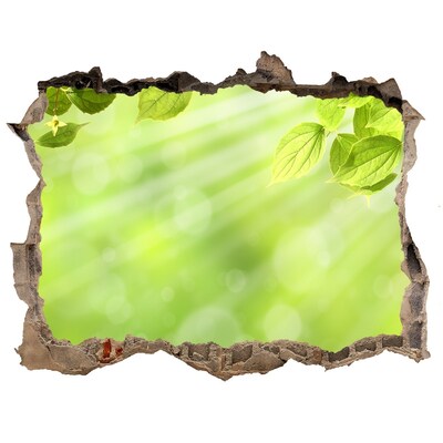 Samoprzylepna naklejka fototapeta Zielony raj za ścianą